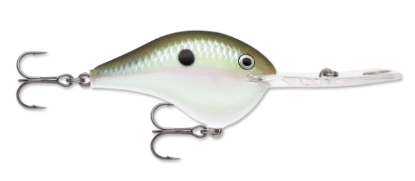 3D Stencil for Rapala DT 20 Original Lure