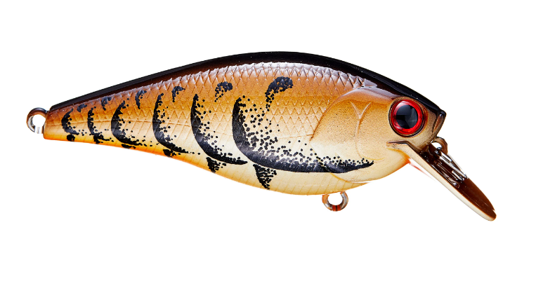 3D Stencil for Lucky Craft BDS Magic DRS 2.2 Original Lure