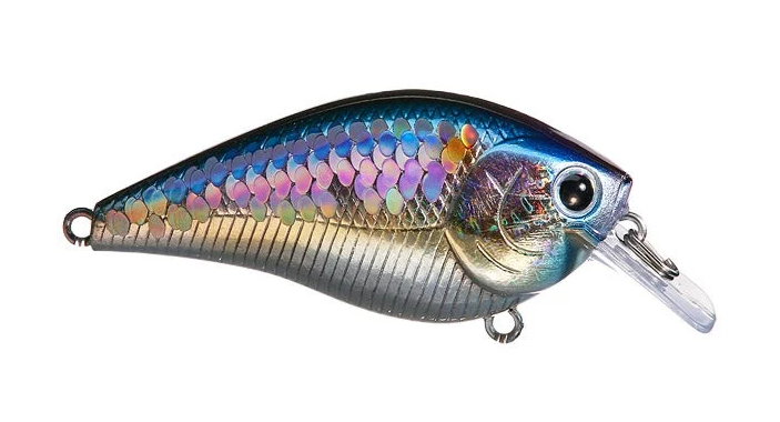 3D Stencil for Lucky Craft 2.5 Square Bill Original Lure
