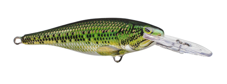 3D Stencil for - Rapala Shad Rap 7