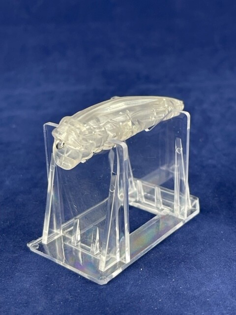 3D Stencil for 3&quot; Topwater