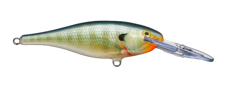 3D Stencil for - Rapala Shad Rap 9