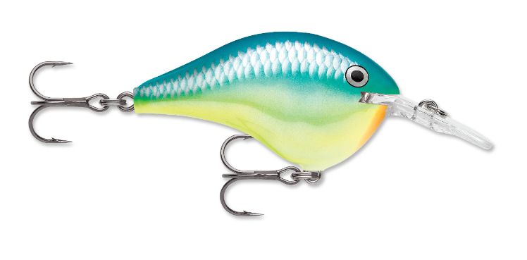 3D Stencil for Rapala DT 6 Original Lure