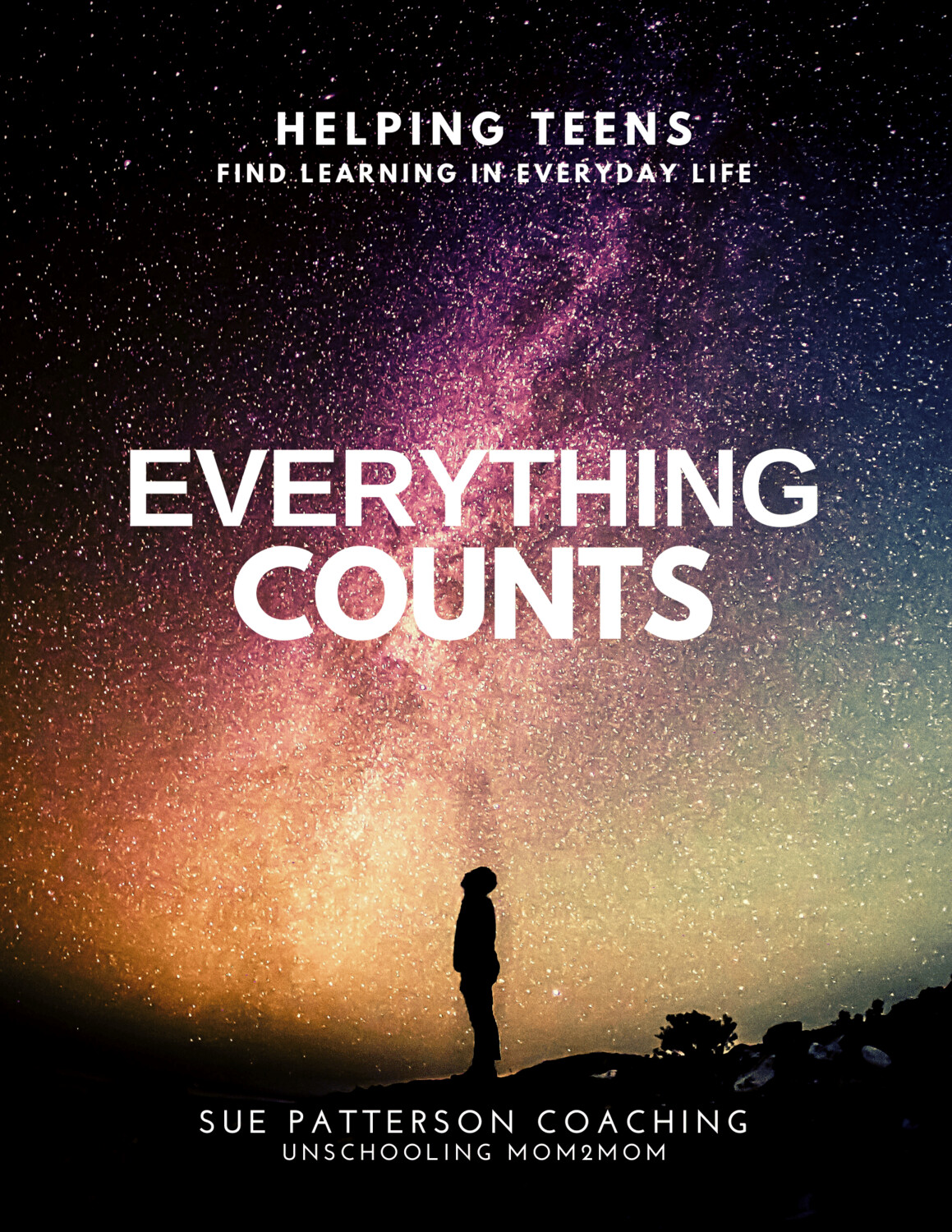 Everything Counts Ebook