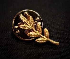 Pin Ramo d'Acacia
