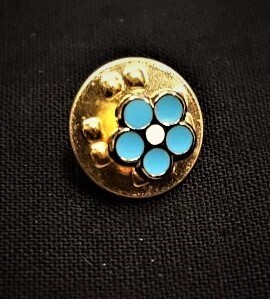 Pin Non ti scordar di me fiore