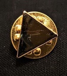 Pin Parola Perduta