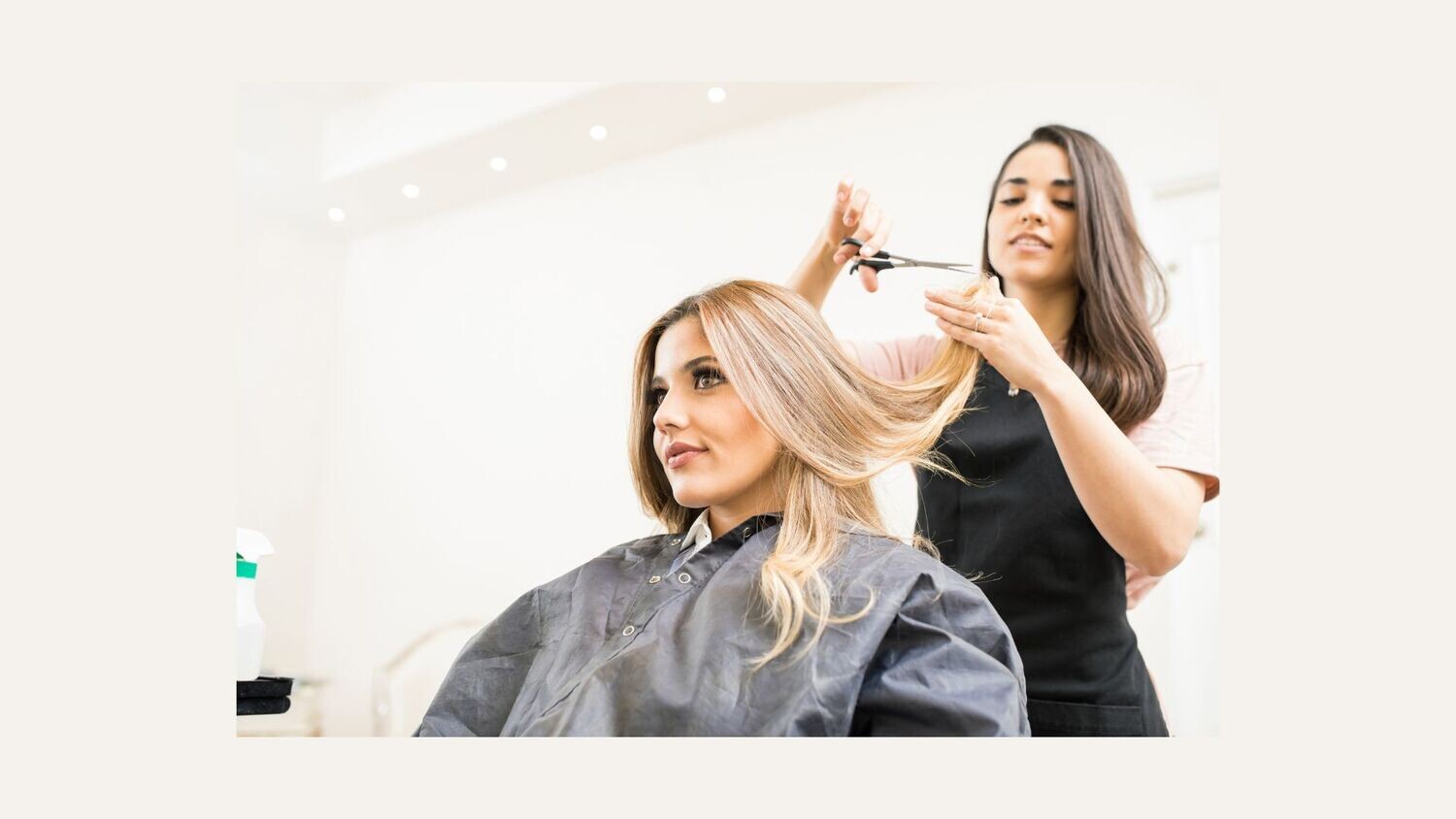 I-Tips/Microlinks Services