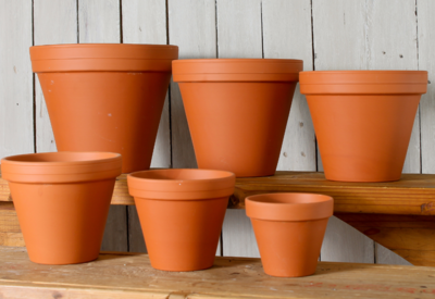 Terracotta Pots