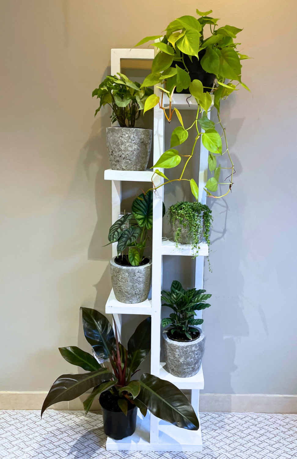 Large 6 tier pot stand
