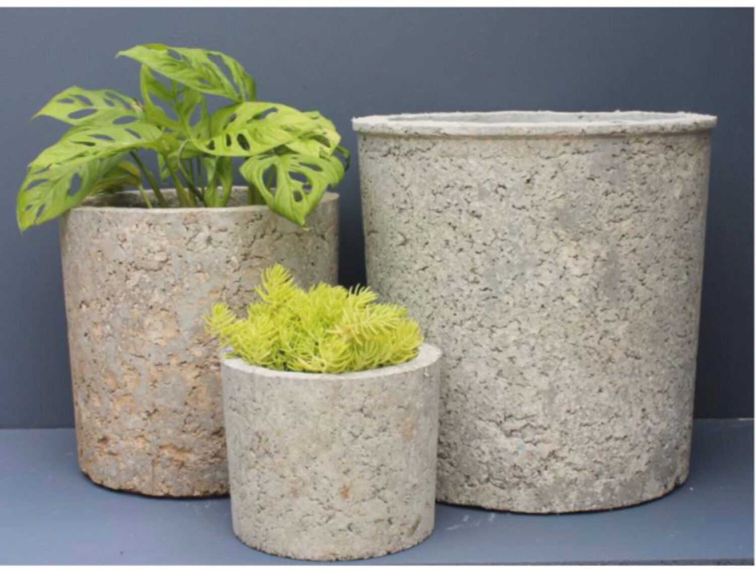 Earth Pots - Tube Planters