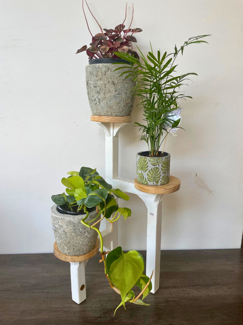 Pot Stand - Three levels