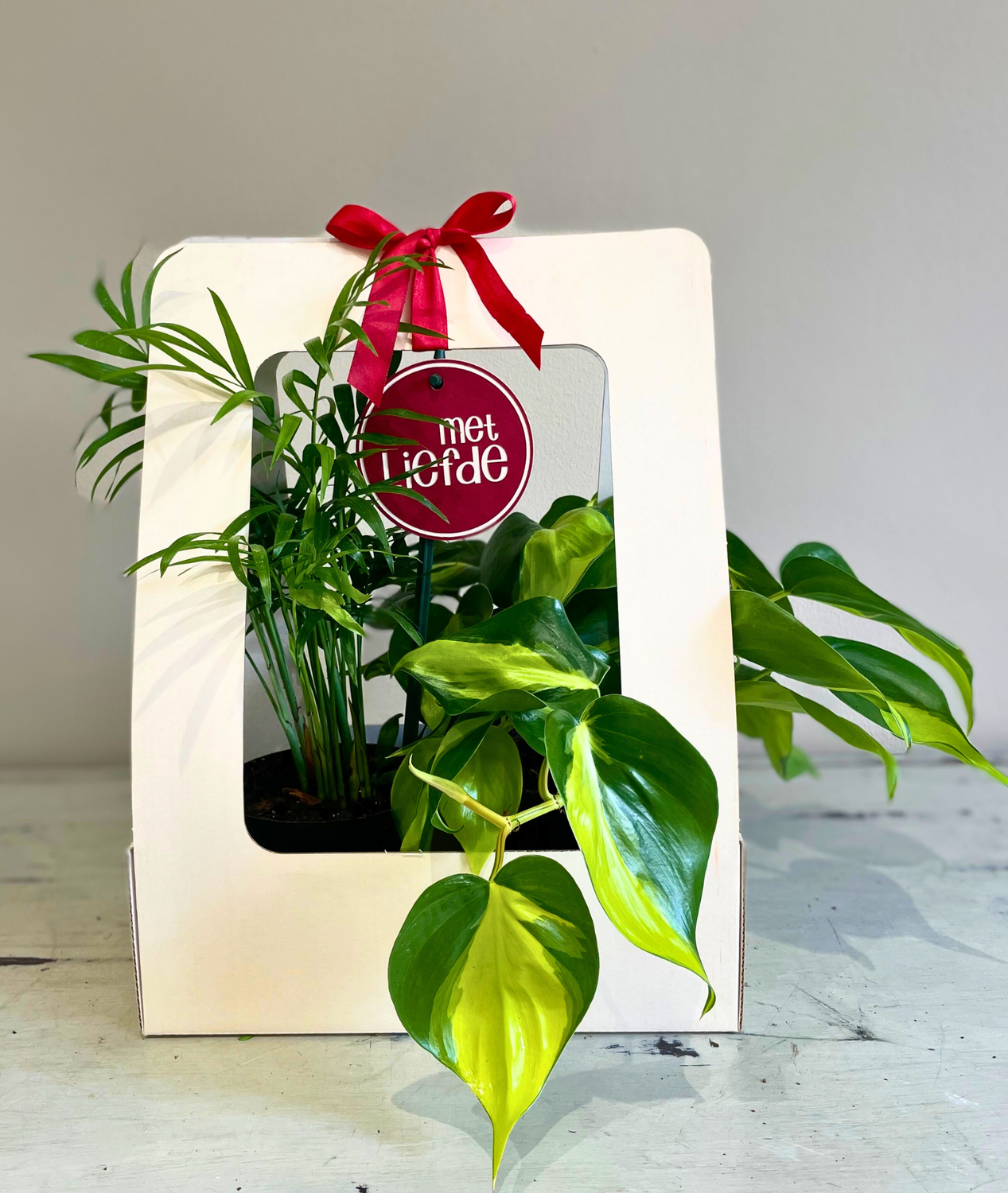 Gift box