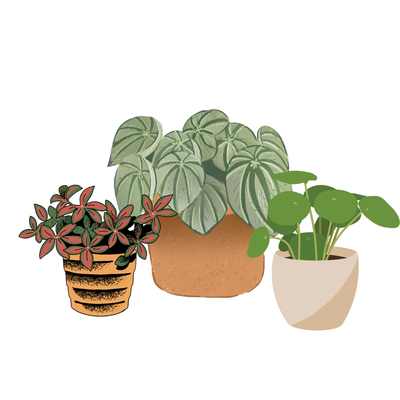 &#39;Lil guys
