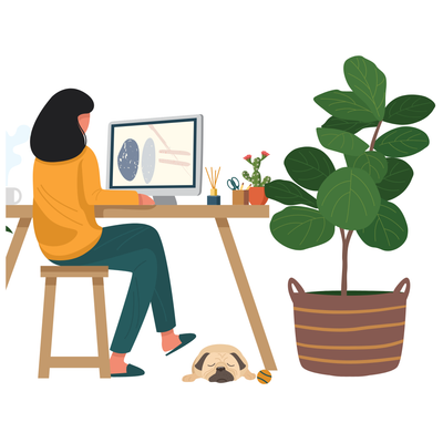 Large office plants