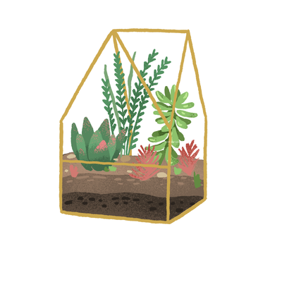 Terrarium Plants
