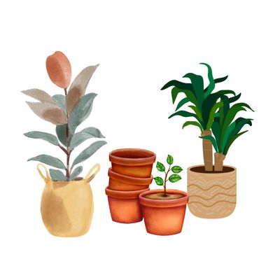 Baskets and pots