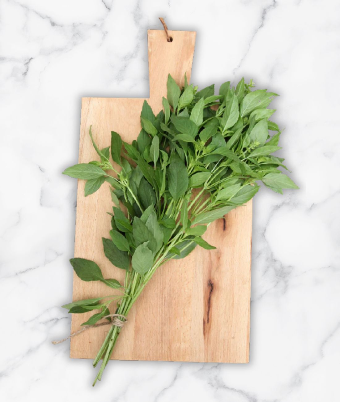 Herb Basil Lemon Lemonette Herb Basil Lemon Lemonette