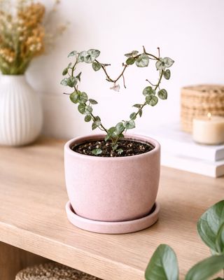 String of Hearts
