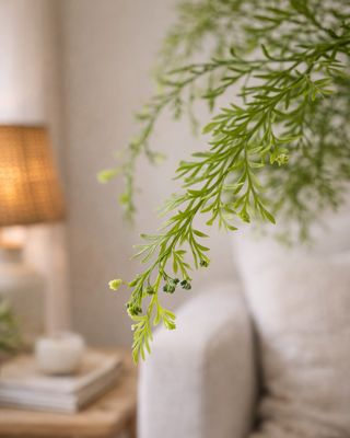 Mother Fern