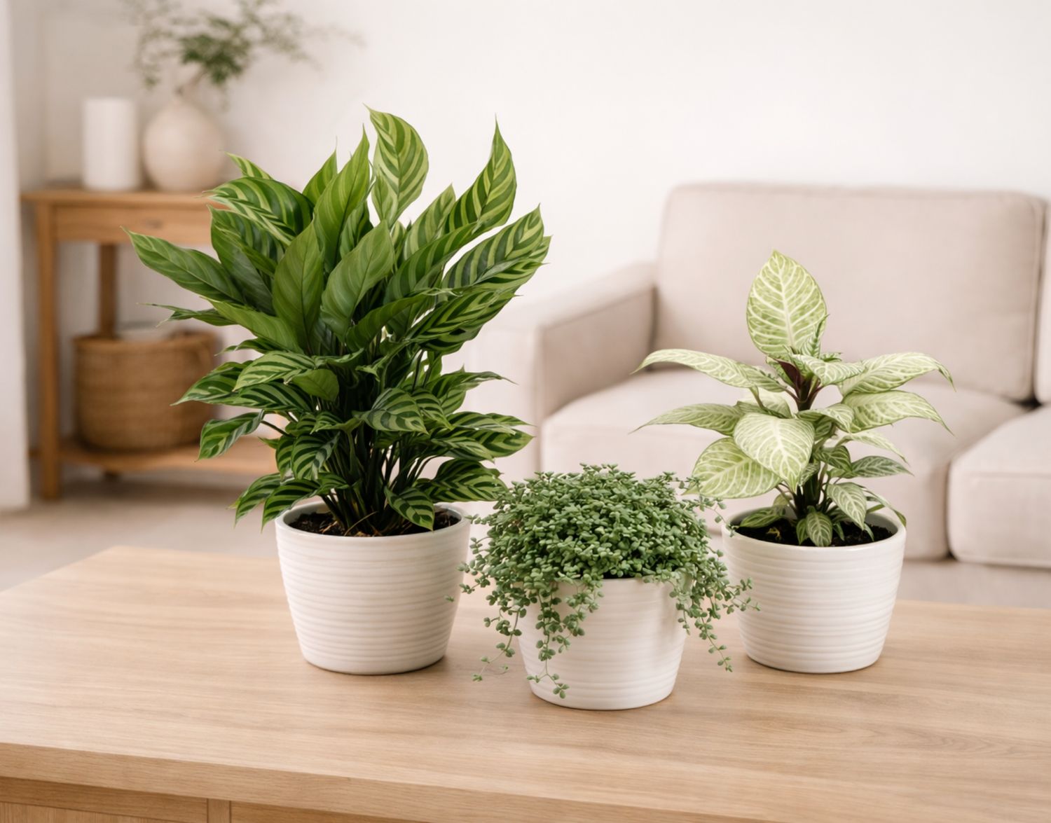 Bargain Bundle - April