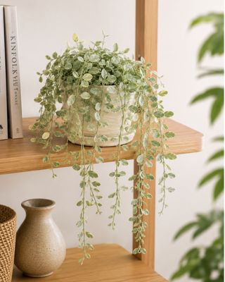 String of nickels String of nickels