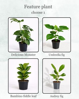 Build Your Own Green Trio