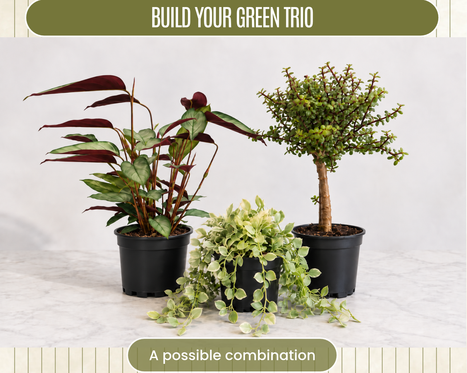 October's Build Your Own Green Trio