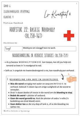 Graad 6 Lv Opsommings Kwartaal 4 - Platinum Handboek
