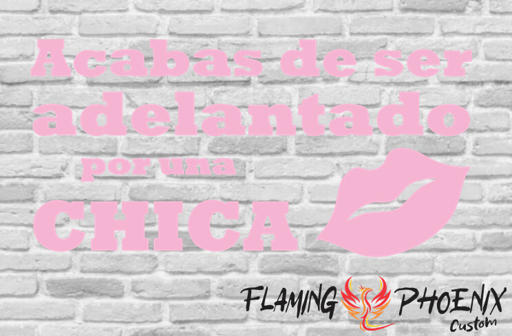 ACABAS DE SER ADELANTADO POR UNA CHICA CUSTOM CAR VINYL STICKER DECAL