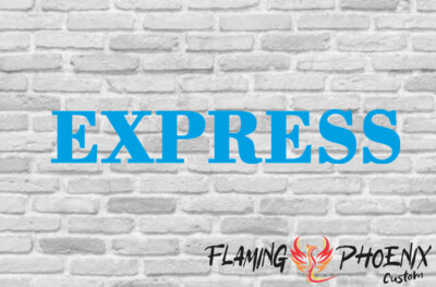 EXPRESS CUSTOM CAR VINYL STICKER DECAL

