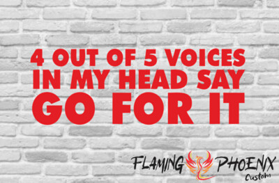 4 OUT OF 5 VOICES IN MY HEAD SAY GO FOR IT CUSTOM CAR VINYL STICKER DECAL