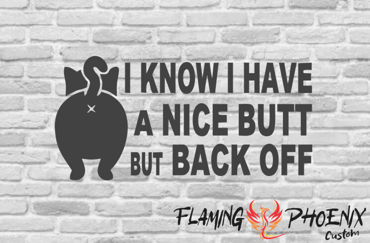 I KNOW I HAVE A NICE BUTT CUSTOM CAR VINYL STICKER DECAL