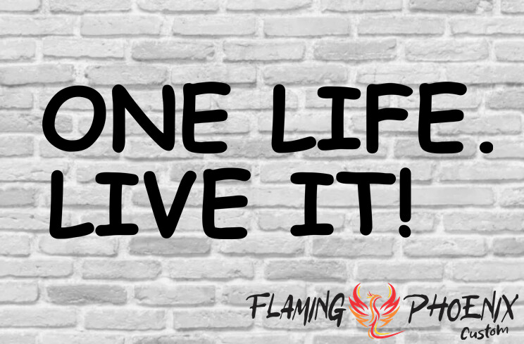 ONE LIFE LIVE IT CUSTOM CAR VINYL STICKER DECAL
