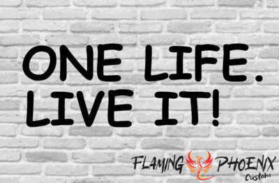 ONE LIFE LIVE IT