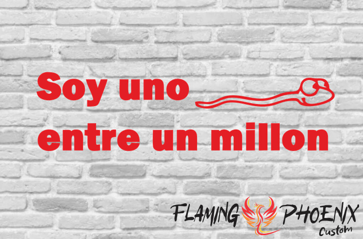 SOY UNO ENTRE UN MILLON CUSTOM CAR VINYL STICKER DECAL
