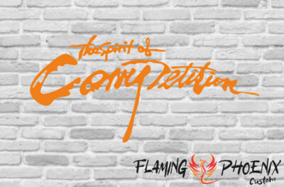 TEAM COMPETITION CUSTOM CAR VINYL STICKER DECAL