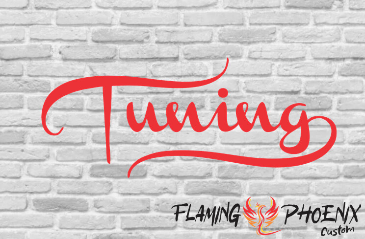 TUNING CUSTOM CAR VINYL STICKER DECAL