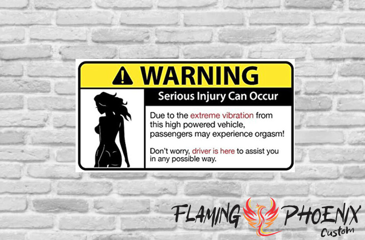 WARNING SERIOUS INJURY CAN OCCUR CUSTOM CAR VINYL STICKER DECAL