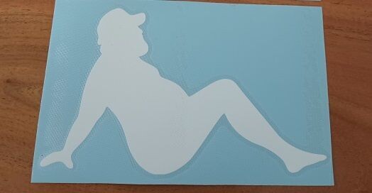 CAMIONERO SEXY CUSTOM CAR VINYL STICKER DECAL