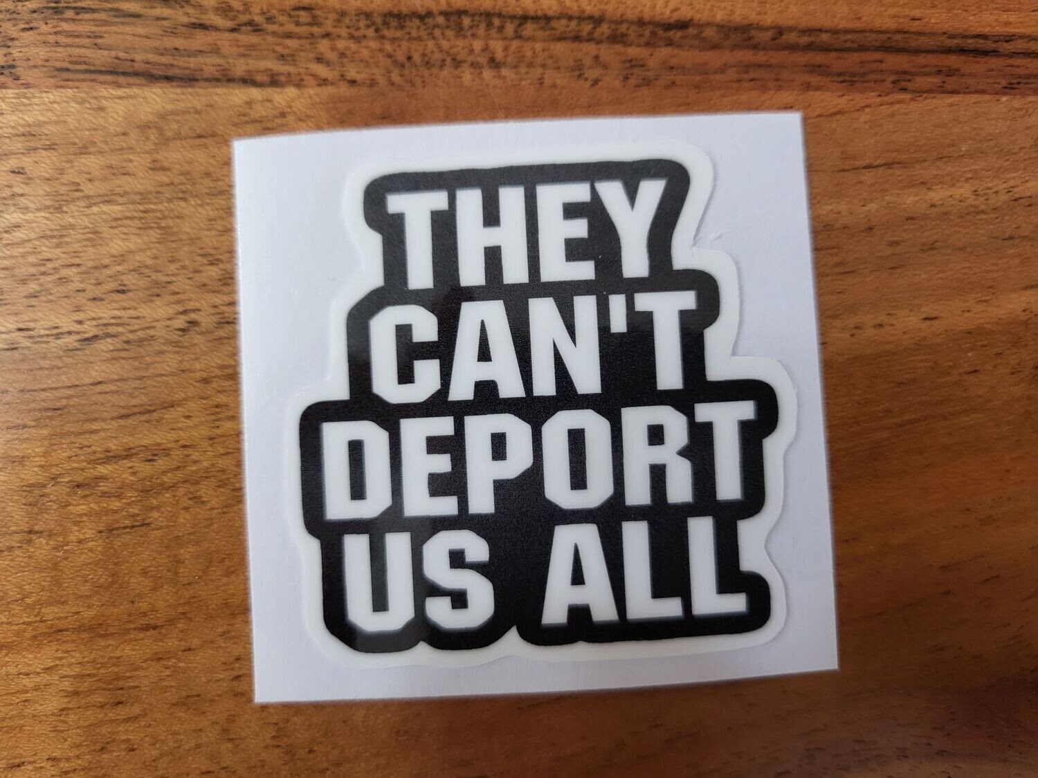 THEY CAN'T DEPORT US ALL