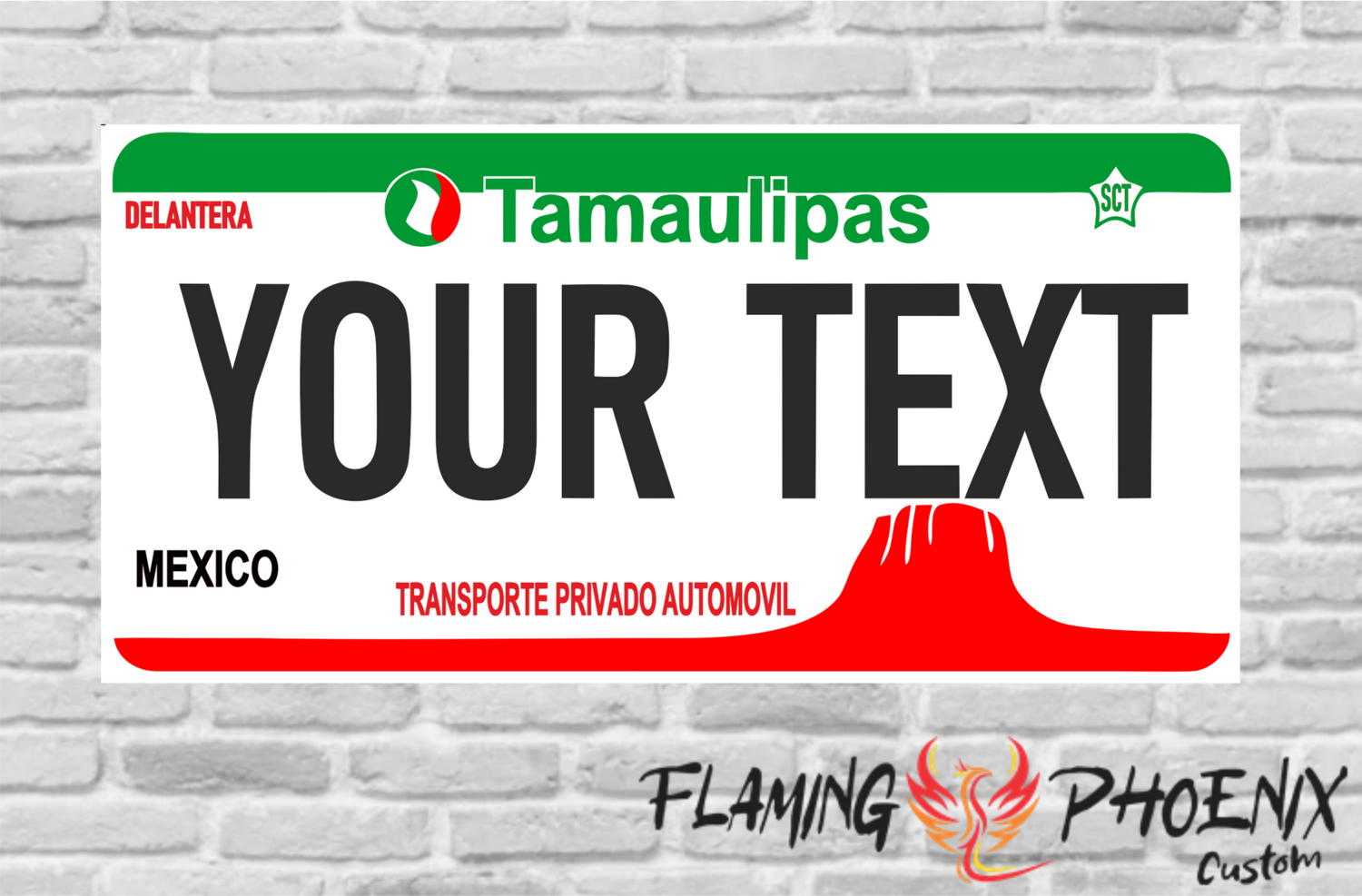 TAMAULIPAS PLATE