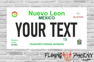 NUEVO LEON MEXICO PLATE