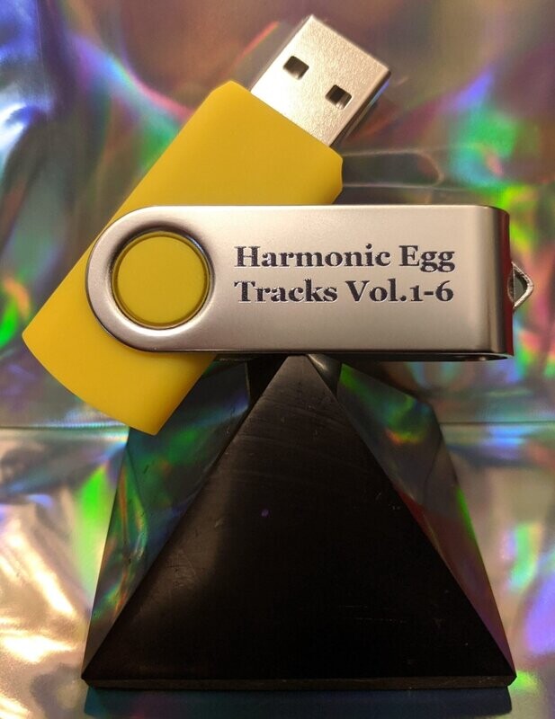 Wellness Tracks USB
