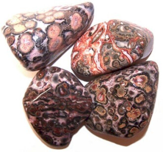 Leopard Skin x24