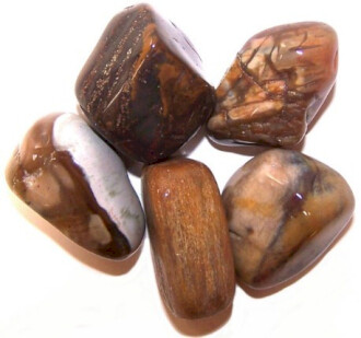 Petrified Wood