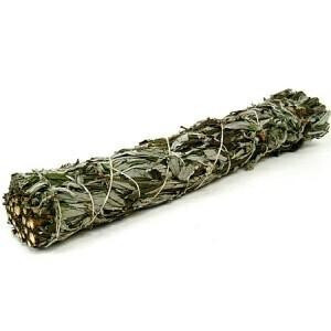 Black Sage 10cm