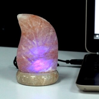 USB Fern Shaped