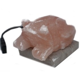 USB Toad Shaped