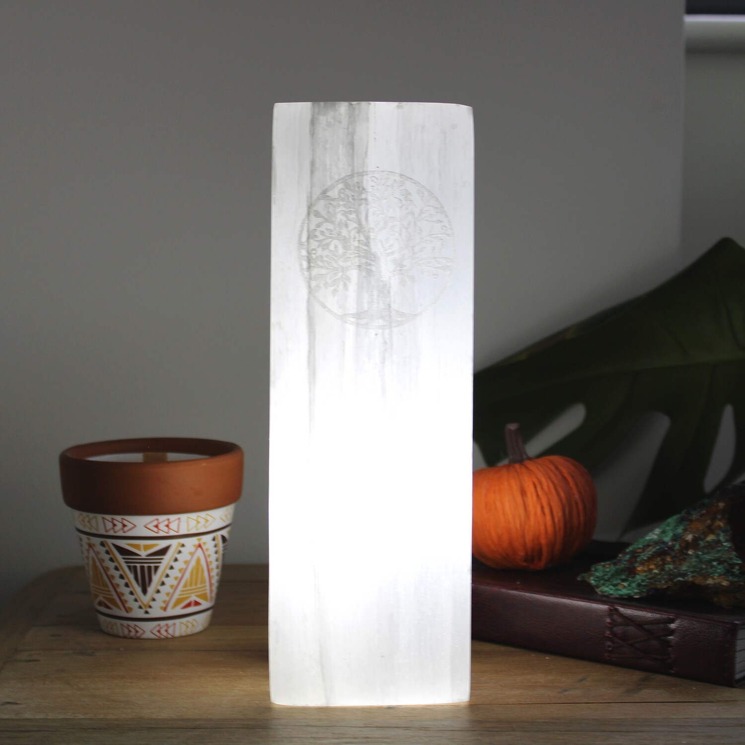 Selenite Block Lamp - Tree of Life